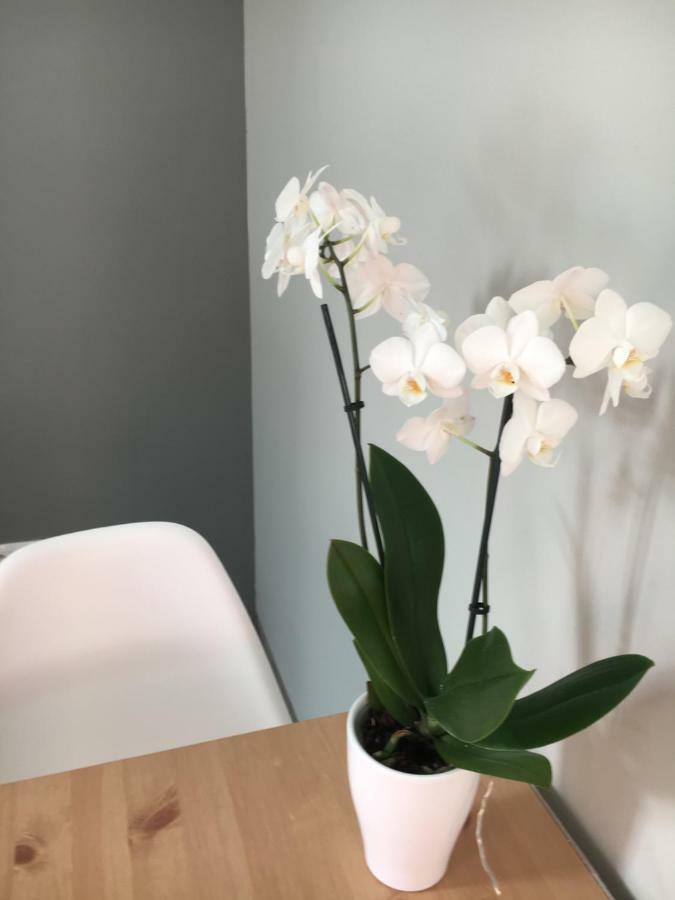 Apartament Easy Stay Center Wroclaw Ngoại thất bức ảnh